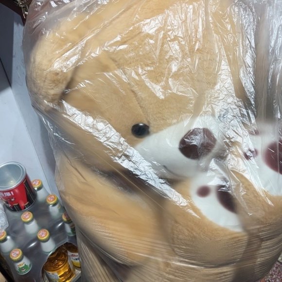 Teddy bear